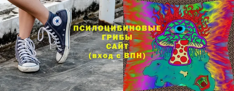 Галлюциногенные грибы Cubensis  Прохладный 